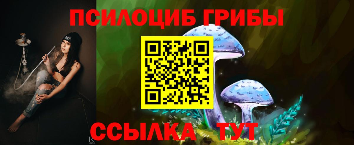 Соль-Илецк  Галлюциногенные грибы Cubensis  Вход с VPN 